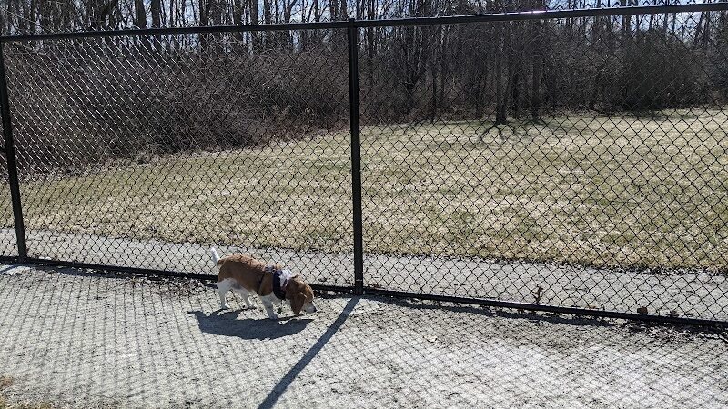 Ariss Park - North Canton, OH