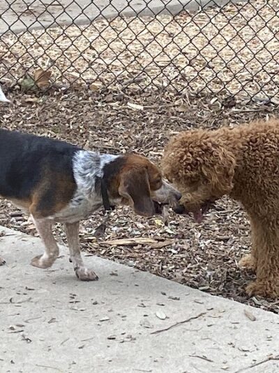 Ariss Park - North Canton, OH