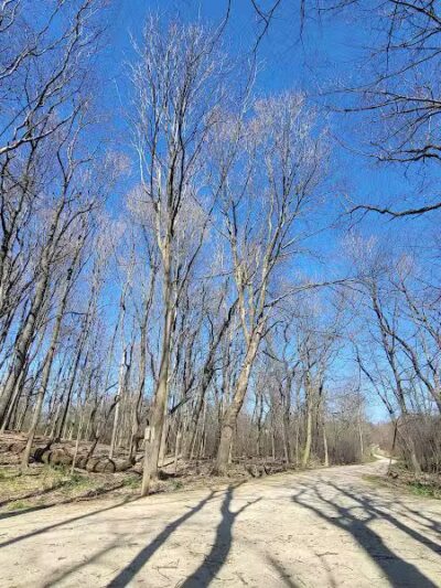 Hoover Park - North Canton, OH