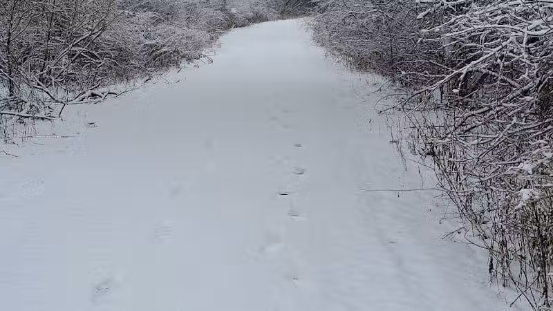 Hoover Park Trail - North Canton, OH
