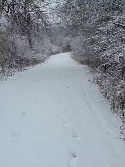 Hoover Park Trail - North Canton, OH