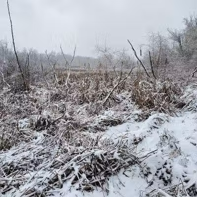 Hoover Park Trail - North Canton, OH