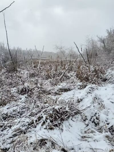 Hoover Park Trail - North Canton, OH