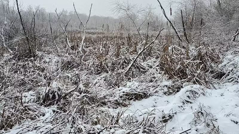 Hoover Park Trail - North Canton, OH