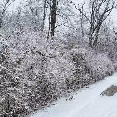 Hoover Park Trail - North Canton, OH