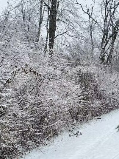 Hoover Park Trail - North Canton, OH
