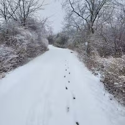 Hoover Park Trail - North Canton, OH