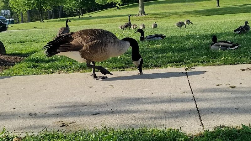 Price Park - North Canton, OH