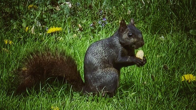 Price Park - North Canton, OH