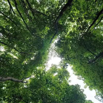Rotary Park - North Canton, OH