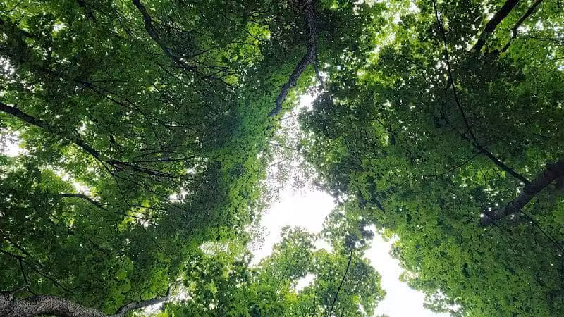 Rotary Park - North Canton, OH