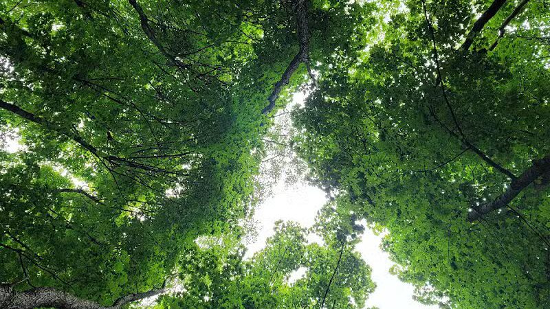 Rotary Park - North Canton, OH