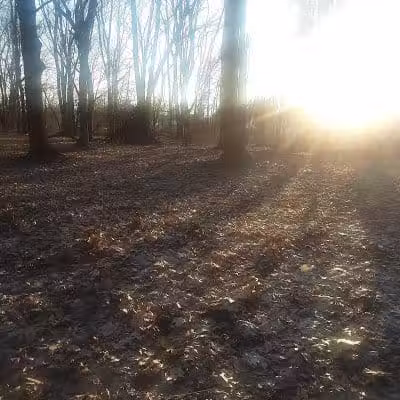 Rotary Park - North Canton, OH
