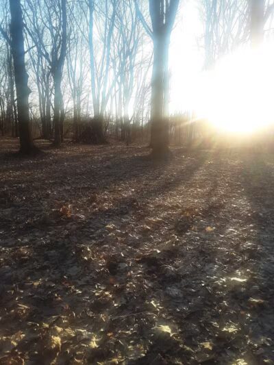 Rotary Park - North Canton, OH