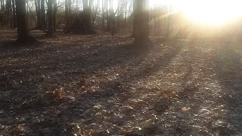 Rotary Park - North Canton, OH