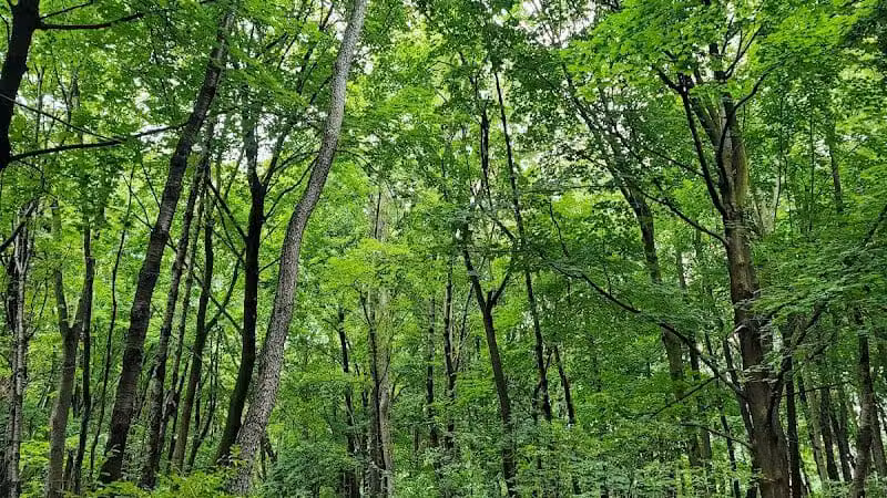 Rotary Park - North Canton, OH
