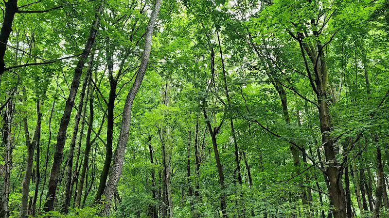 Rotary Park - North Canton, OH