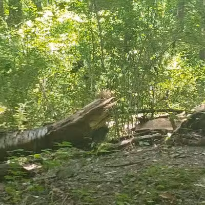 Rotary Park - North Canton, OH