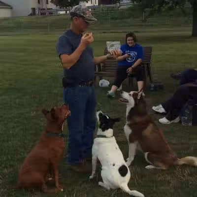 Ruff Run Dog Park - North Canton, OH