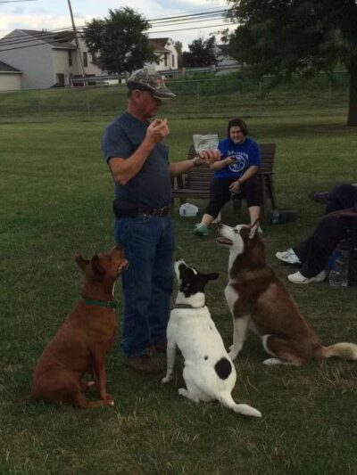 Ruff Run Dog Park - North Canton, OH