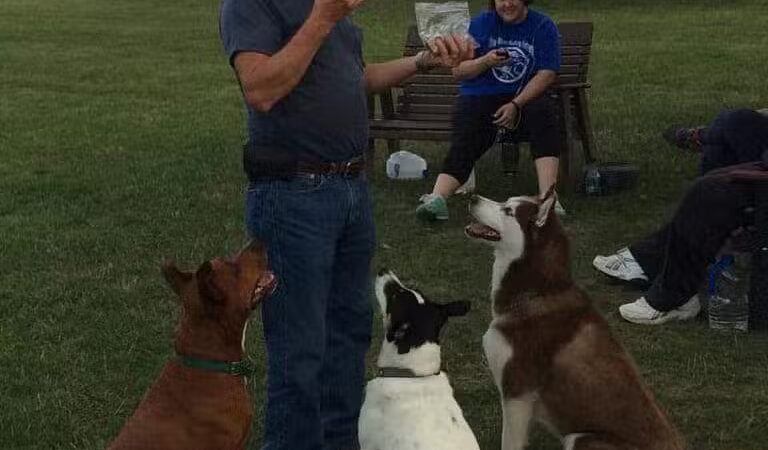 Ruff Run Dog Park - North Canton, OH