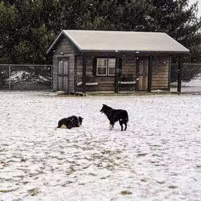 Ruff Run Dog Park - North Canton, OH