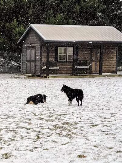 Ruff Run Dog Park - North Canton, OH
