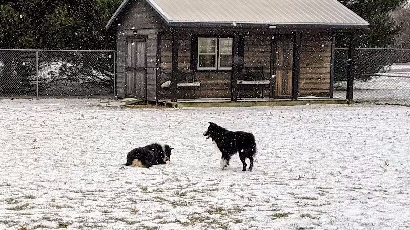 Ruff Run Dog Park - North Canton, OH