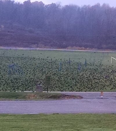 Lawrence Township Park - North Lawrence, OH