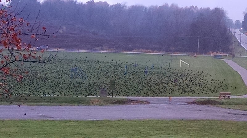 Lawrence Township Park - North Lawrence, OH