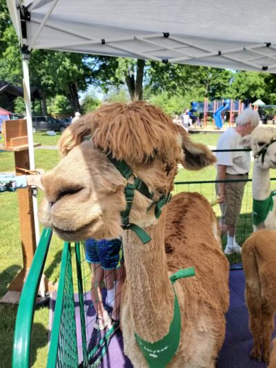 North Olmsted Community Park - North Olmsted, OH