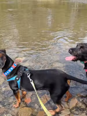 Rocky River Reservation - North Olmsted, OH