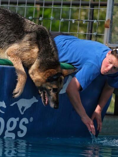 Canine Superheroes - North Ridgeville, OH