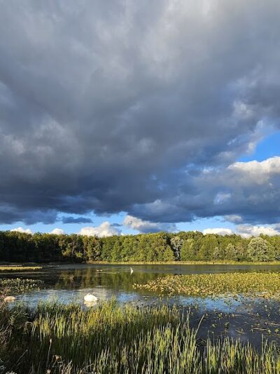 Sandy Ridge Reservation - North Ridgeville, OH