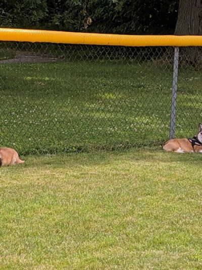 Shady Drive Complex - North Ridgeville, OH