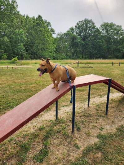 Aukerman Park - North Royalton, OH