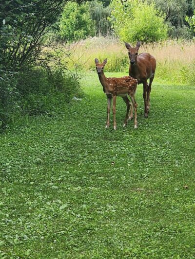 Aukerman Park - North Royalton, OH