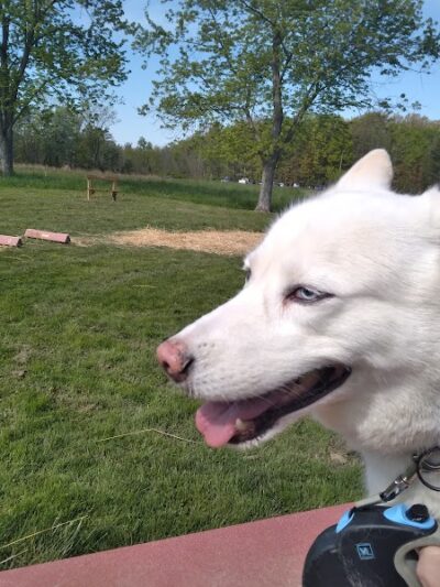 Aukerman Park - North Royalton, OH