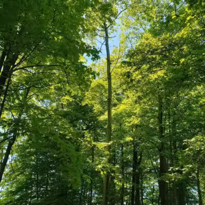 Memorial Park - North Royalton, OH