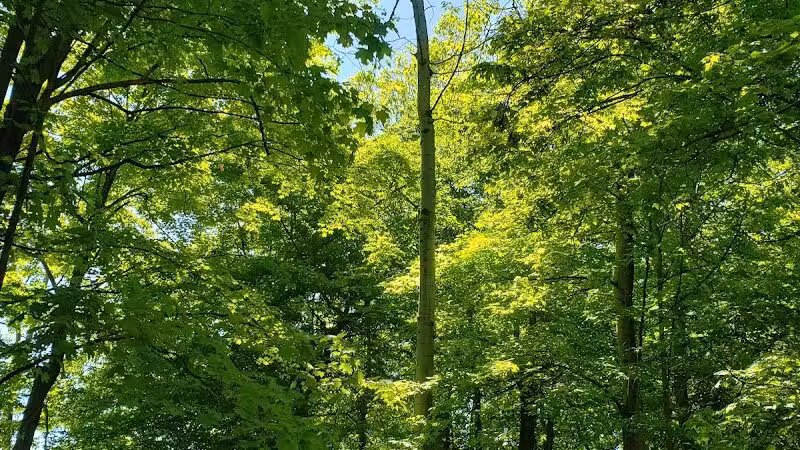 Memorial Park - North Royalton, OH