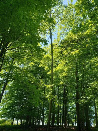 Memorial Park - North Royalton, OH