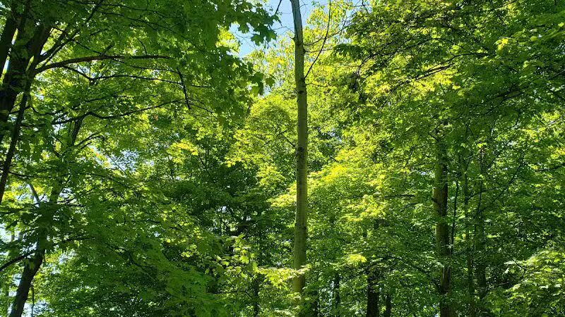 Memorial Park - North Royalton, OH