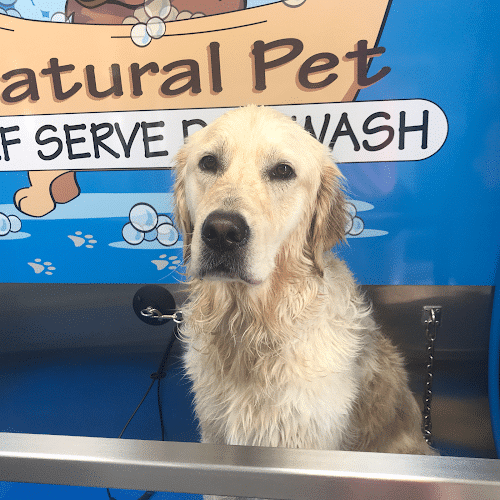 The Natural Pet Self Serve Dog Wash - North Royalton, OH