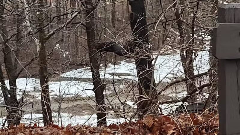 Bike & Hike Route 82 Trailhead Parking - Northfield, OH