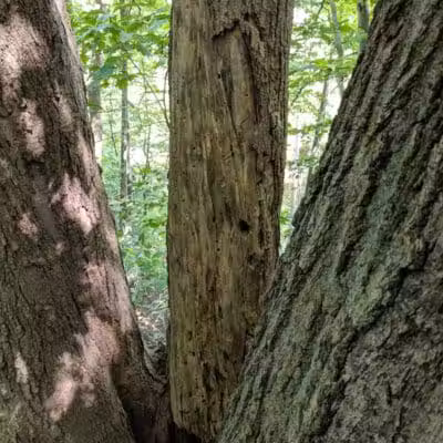 Smith Park - Northfield, OH