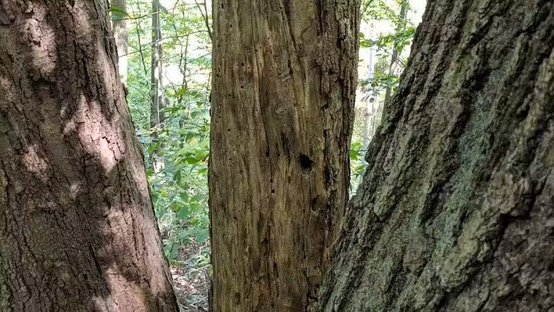 Smith Park - Northfield, OH