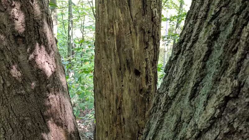 Smith Park - Northfield, OH