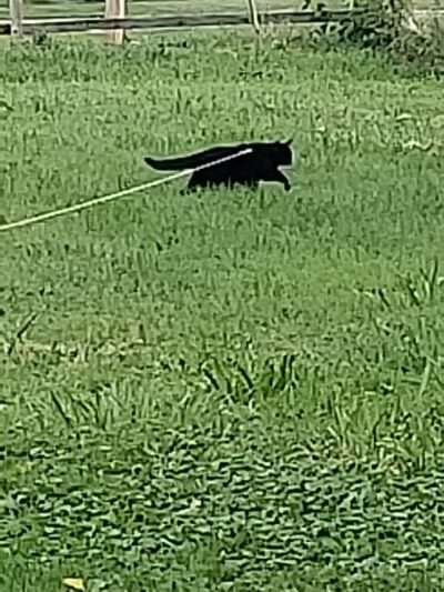 Brentwood Park - Northwood, OH