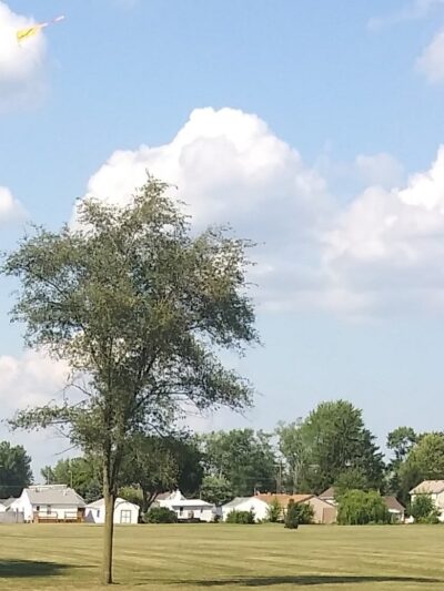 Brentwood Park - Northwood, OH