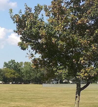 Brentwood Park - Northwood, OH